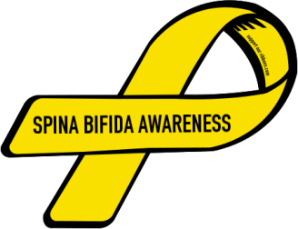 spina-bifida